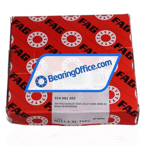 FAG N213-E-XL-TVP2 bearing image 4
