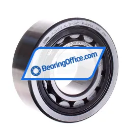 FAG NJ2310-E-XL-TVP2