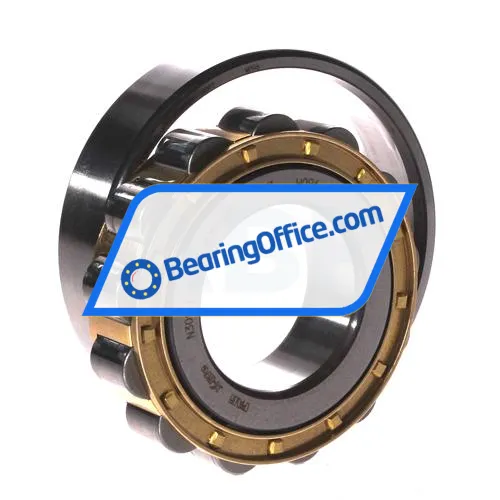 FAG N309-E-XL-M1 bearing image 3