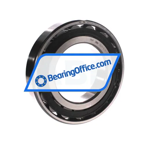 FAG N220-E-XL-TVP2-C3