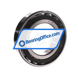 FAG N220-E-XL-TVP2-C3