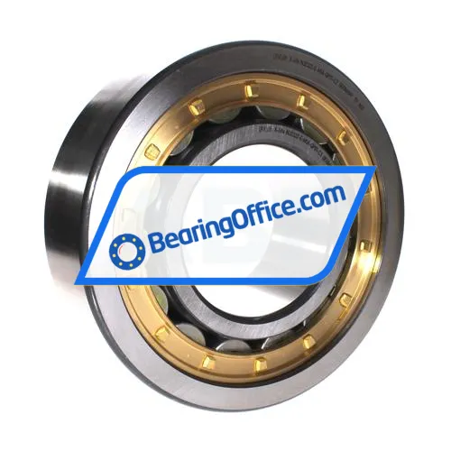 FAG NJ2322-E-M1A-QP51-C3