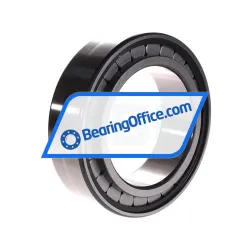 INA SL183018-A rulman resim 2