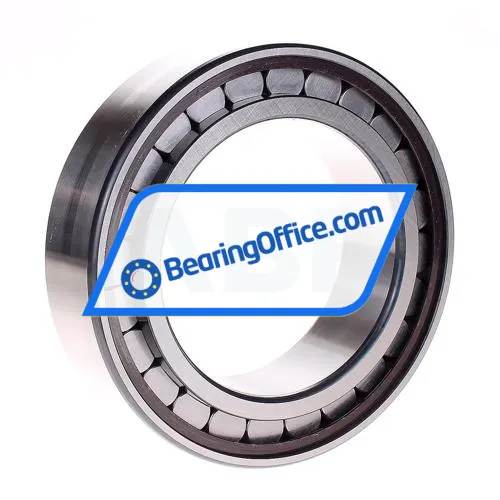INA SL183018-A-C3 bearing image 2