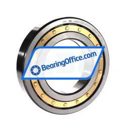 FAG NUP221-E-XL-M1-F1-C3