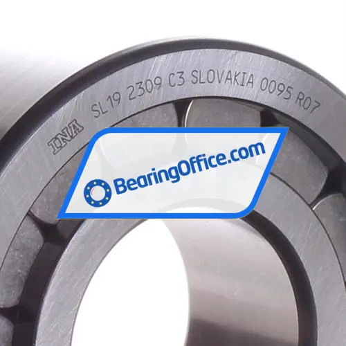 INA SL192309-C3 bearing image 2