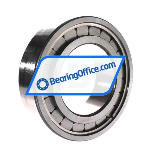 INA SL182224-A-C3 bearing image 2