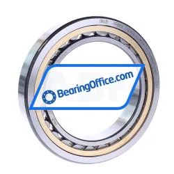 FAG NU1021-XL-MPAX-C3