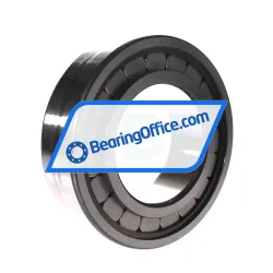 INA SL182222-A rulman resim 2