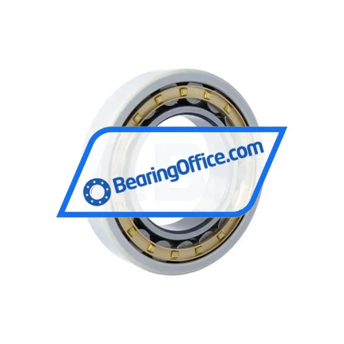 FAG NU218-E-XL-M1-F1-J20AA-C3 bearing image 2