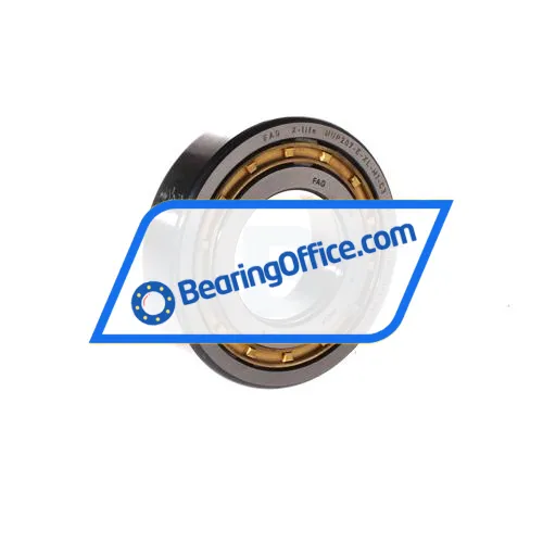 FAG NUP207-E-XL-M1-C3