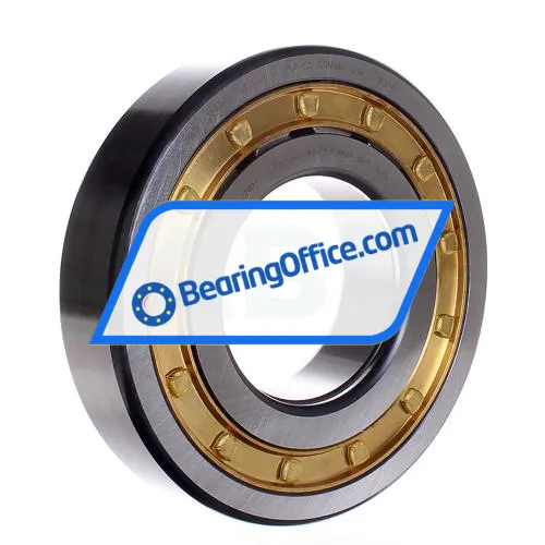 FAG NUP318-E-XL-M1A-C3