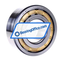 FAG NUP2313-E-XL-M1-C3