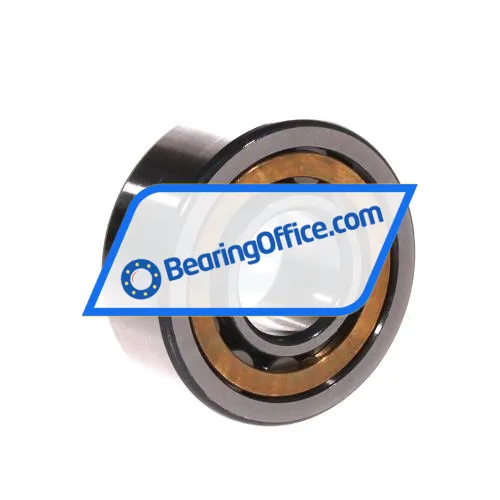 FAG NU2305-E-XL-M1-C3 bearing image 2