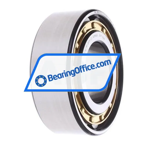 FAG N2315-E-XL-M1-QP15-C3