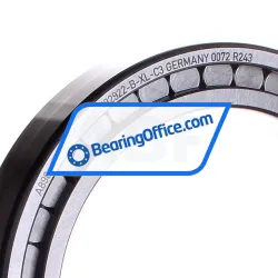 INA SL182922-B-XL-C3 rulman resim 2