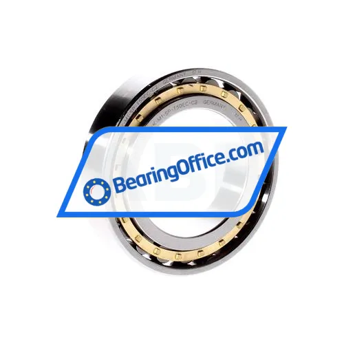 FAG N1009-K-M1-SP-T50EC-C2 bearing image 3
