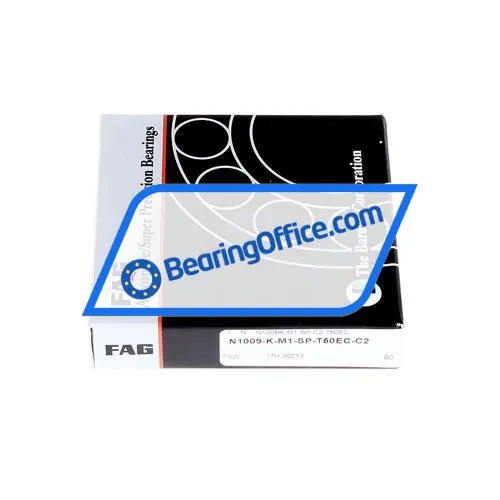FAG N1009-K-M1-SP-T50EC-C2 bearing image 4