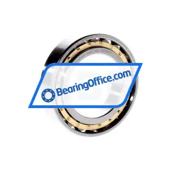 FAG N1009-K-M1-SP-T50EC-C2