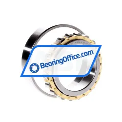 FAG N1009-K-M1-SP-T50EC-C2 rulman resim 2