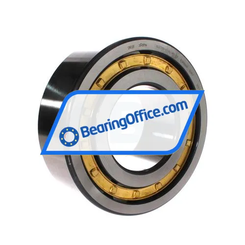 FAG NJ2319-E-XL-M1-C3