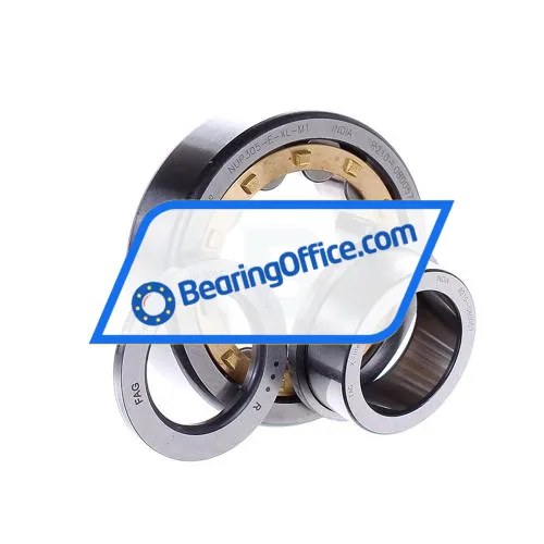 FAG NUP305-E-XL-M1 bearing image 2