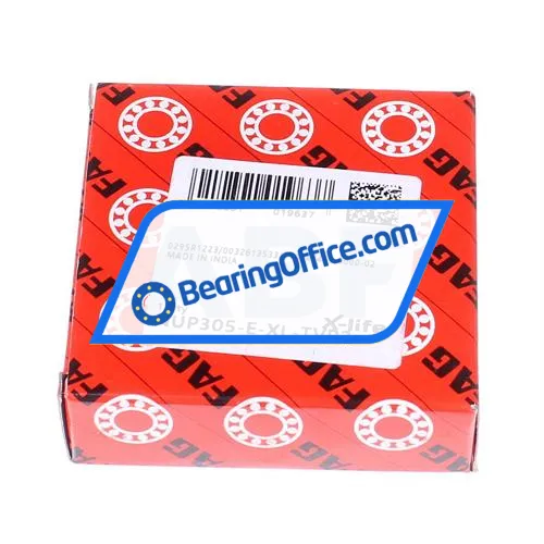 FAG NUP305-E-XL-TVP2