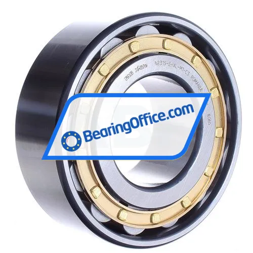 FAG N2315-E-XL-M1-C3