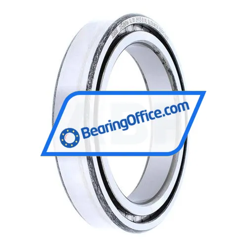INA SL182913-B-XL bearing image 2