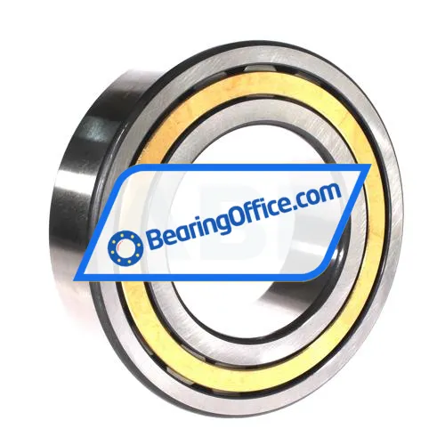 FAG NJ2220-E-XL-M1 bearing image 2