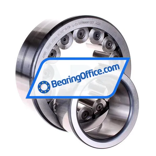 INA SL192318-TB-XL-C3 bearing image 3