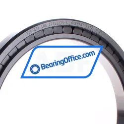 INA SL181834-A rulman resim 2