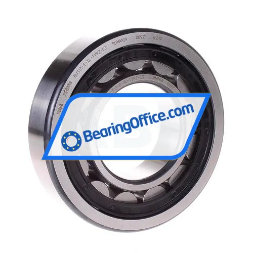 FAG NU313-E-XL-TVP2-C3