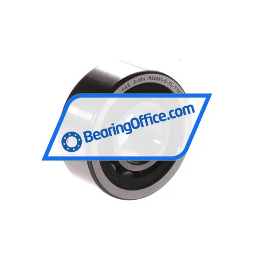 FAG NJ2203-E-XL-TVP2