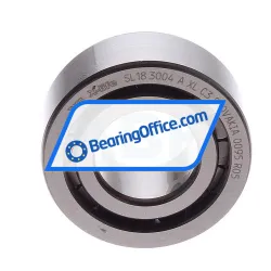 INA SL183004-A-XL-C3 rulman resim 2