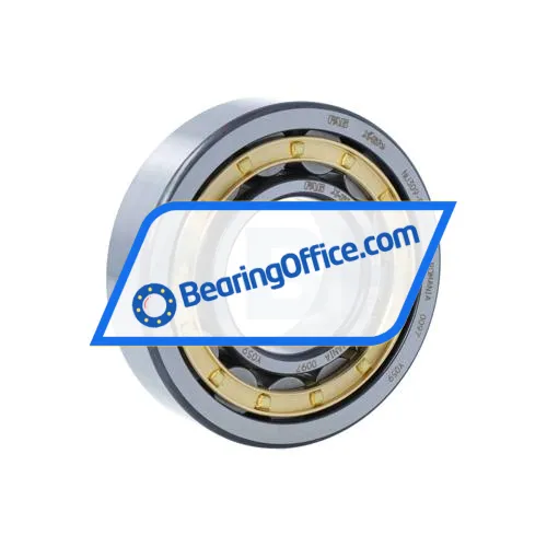 FAG NU309-E-XL-M1-C4