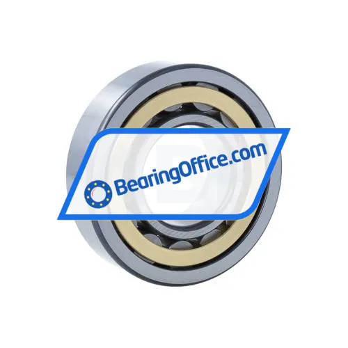 FAG NU309-E-XL-M1-C4 bearing image 2