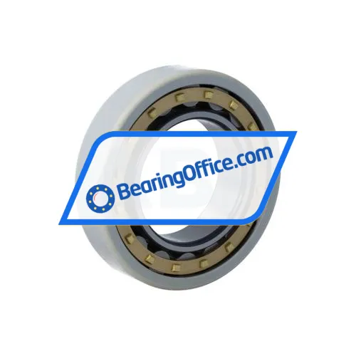 FAG NU210-E-XL-M1-F1-J20AA-C4 bearing image 2