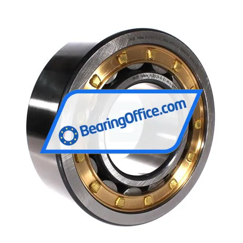 FAG NJ2320-E-XL-M1A-QP51-C3