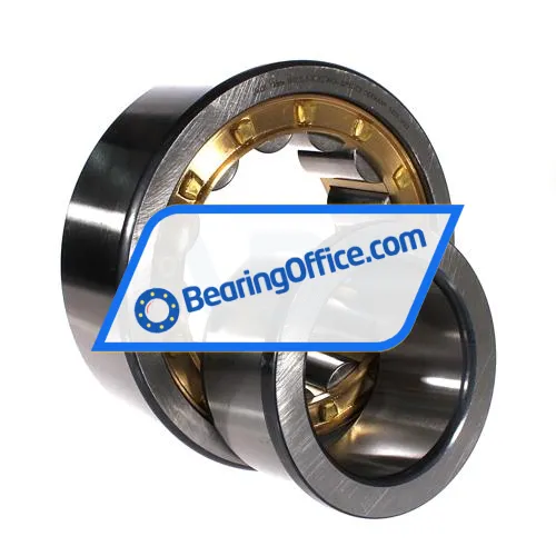 FAG NJ2320-E-XL-M1A-QP51-C3 bearing image 2