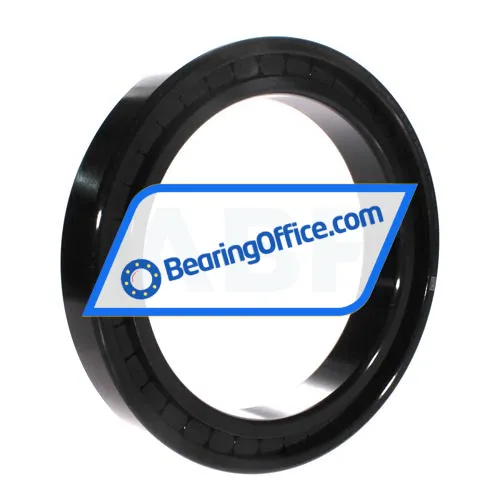 INA SL182934-B-XL-BR-C3