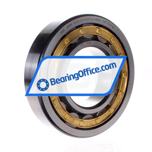 FAG NU319-E-XL-M1-F1-C3