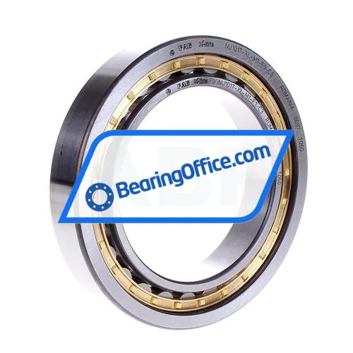 FAG NU1017-XL-M1-F1-C3