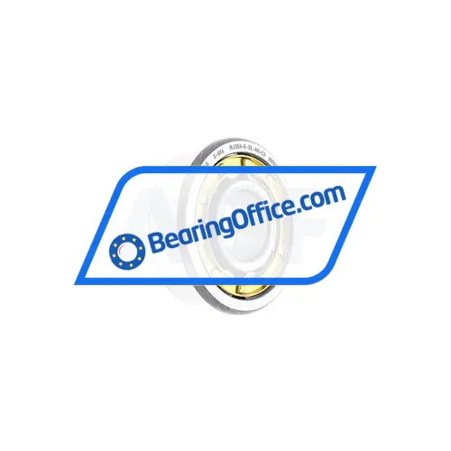 FAG NJ304-E-XL-M1-C3 bearing image 2