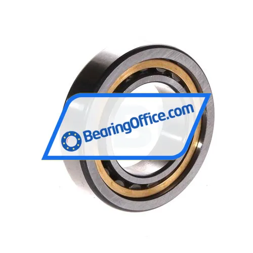 FAG NU1006-XL-M1 bearing image 2