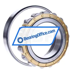 FAG N219-E-XL-M1-C3 rulman resim 3