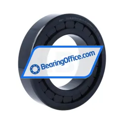 INA SL182216-A-BR-C3-4S