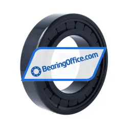 INA SL182216-A-BR-C3-4S rulman resim 2