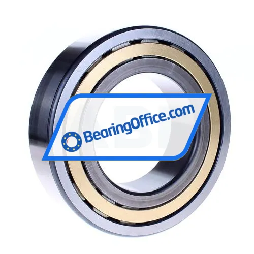 FAG NJ2220-E-M1 bearing image 2