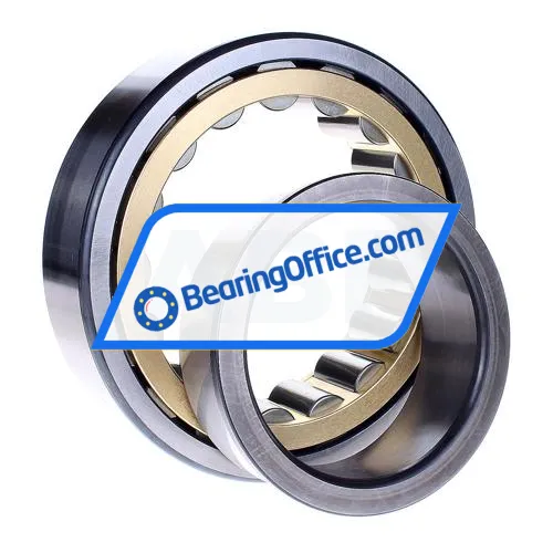 FAG NJ2220-E-M1 bearing image 3